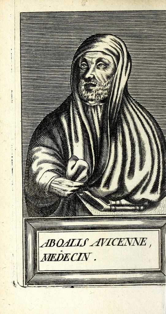 An illustration from Histoire des plus illustres et scavans hommes de leurs siecles : tant de l'Europe que de l'Asie, Afrique & Amerique : avec leurs portraits en tailles-douces, tirez sur les veritables originaux, 1670, leaf 202