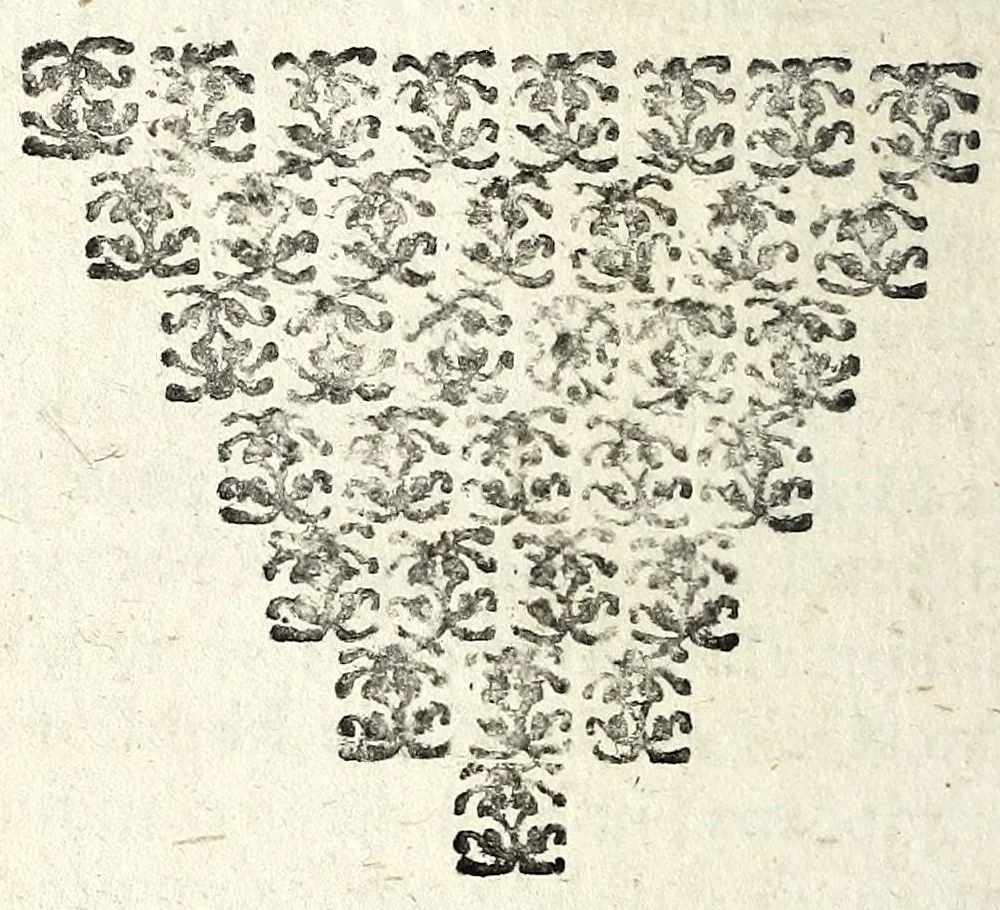 An illustration from Histoire des plus illustres et scavans hommes de leurs siecles : tant de l'Europe que de l'Asie, Afrique & Amerique : avec leurs portraits en tailles-douces, tirez sur les veritables originaux, 1670, leaf 350