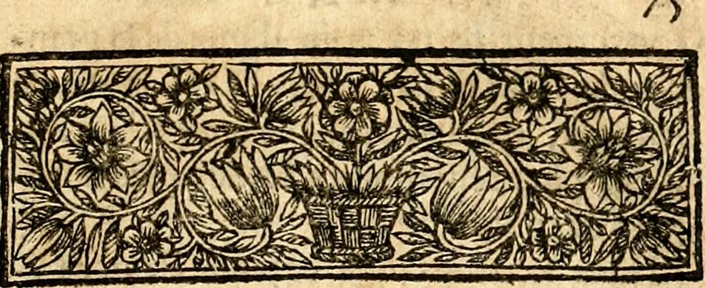 An illustration from Histoire des princes d'Orange de la maison de Nassau, 1693, leaf 100