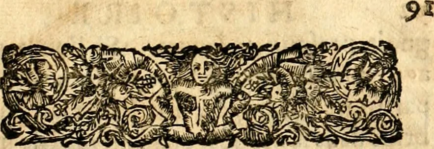 An illustration from Histoire des princes d'Orange de la maison de Nassau, 1693, leaf 116