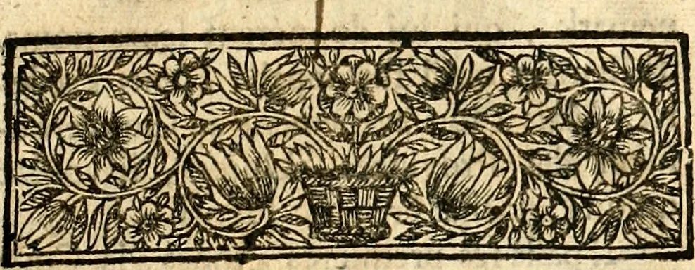 An illustration from Histoire des princes d'Orange de la maison de Nassau, 1693, leaf 136