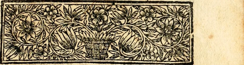 An illustration from Histoire des princes d'Orange de la maison de Nassau, 1693, leaf 172