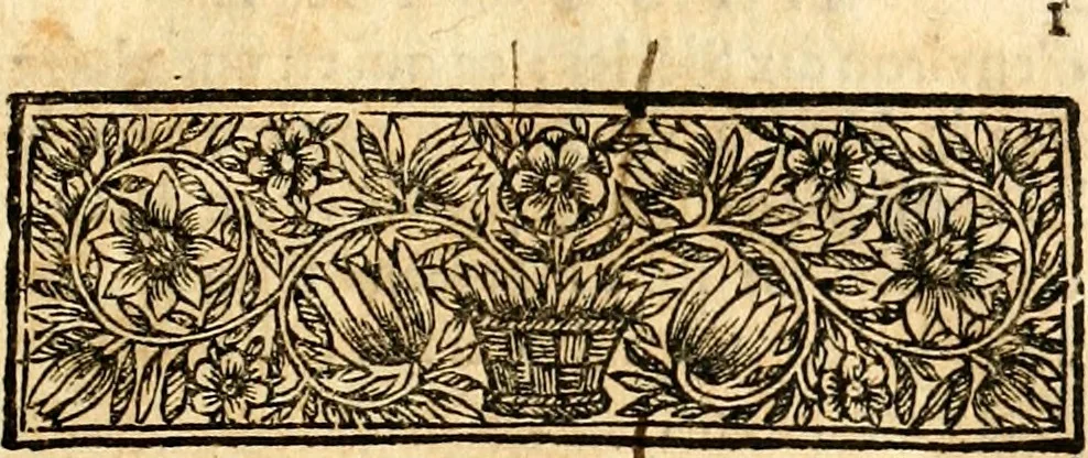 An illustration from Histoire des princes d'Orange de la maison de Nassau, 1693, leaf 26