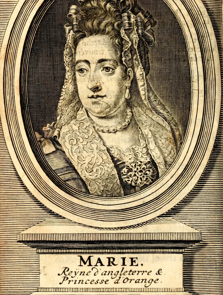 An illustration from Histoire des princes d'Orange de la maison de Nassau, 1693, leaf 313