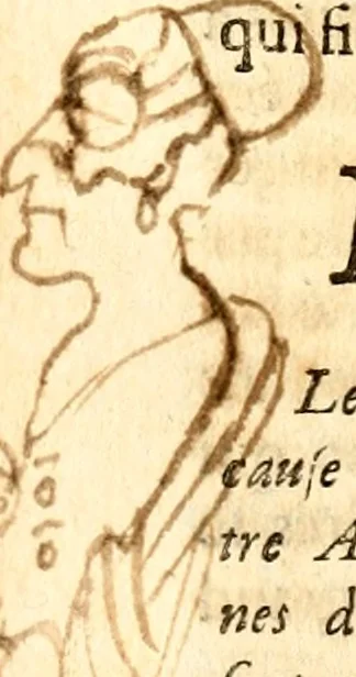 An illustration from Histoire des princes d'Orange de la maison de Nassau, 1693, leaf 399