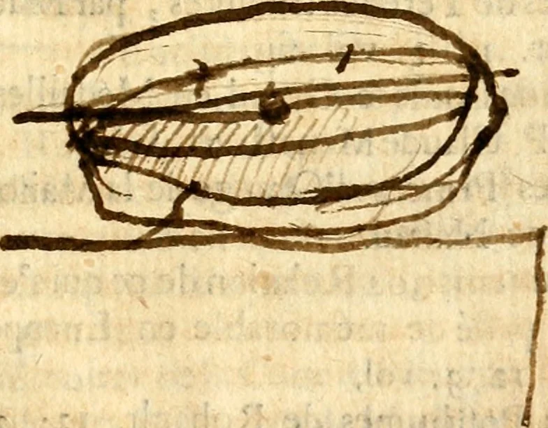 An illustration from Histoire des princes d'Orange de la maison de Nassau, 1693, leaf 526