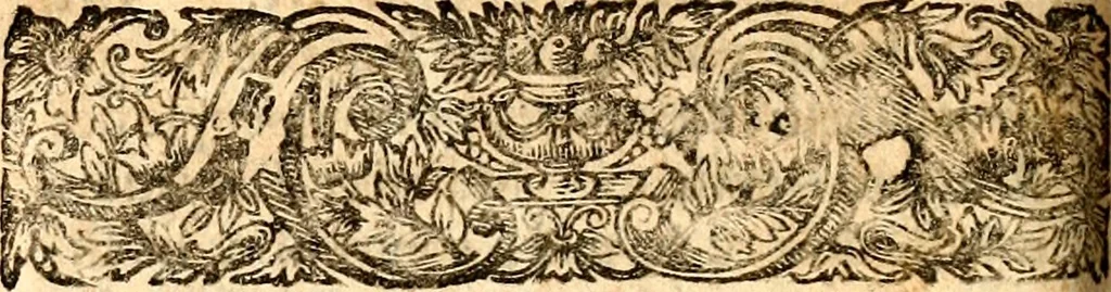An illustration from Histoire des princes d'Orange de la maison de Nassau, 1693, leaf 527