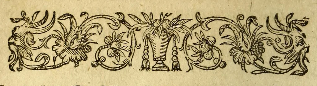 An illustration from Histoire des simples medicamens apportés de l'Amerique, desquels on se sert en la medecine., 1619, leaf 172