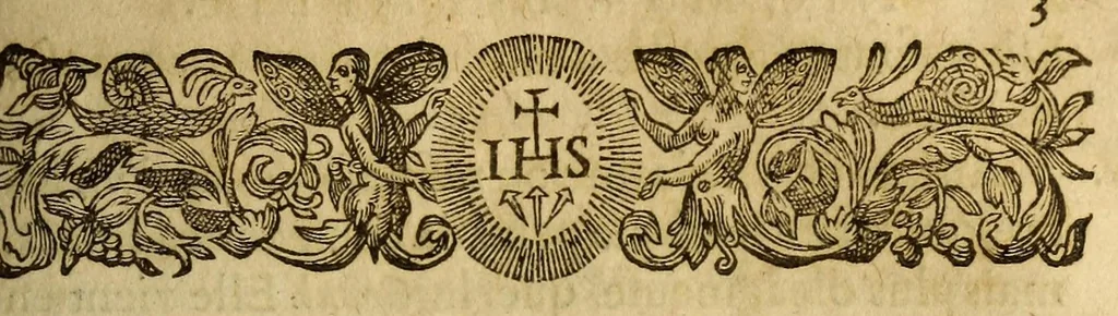 An illustration from Histoire des simples medicamens apportés de l'Amerique, desquels on se sert en la medecine., 1619, leaf 7
