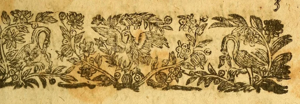 An illustration from Histoire du Canada et voyages que les freres mineurs recollects y ont faicts pour la conuersion des infidelles. : Diuisez en quatre liures. ..., 1636, leaf 11