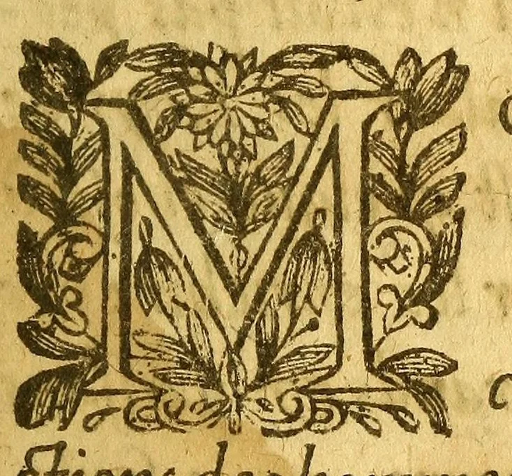 An illustration from Histoire du Canada et voyages que les freres mineurs recollects y ont faicts pour la conuersion des infidelles. : Diuisez en quatre liures. ..., 1636, leaf 11