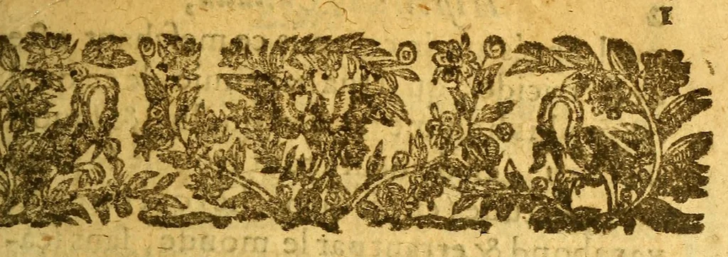 An illustration from Histoire du Canada et voyages que les freres mineurs recollects y ont faicts pour la conuersion des infidelles. : Diuisez en quatre liures. ..., 1636, leaf 37