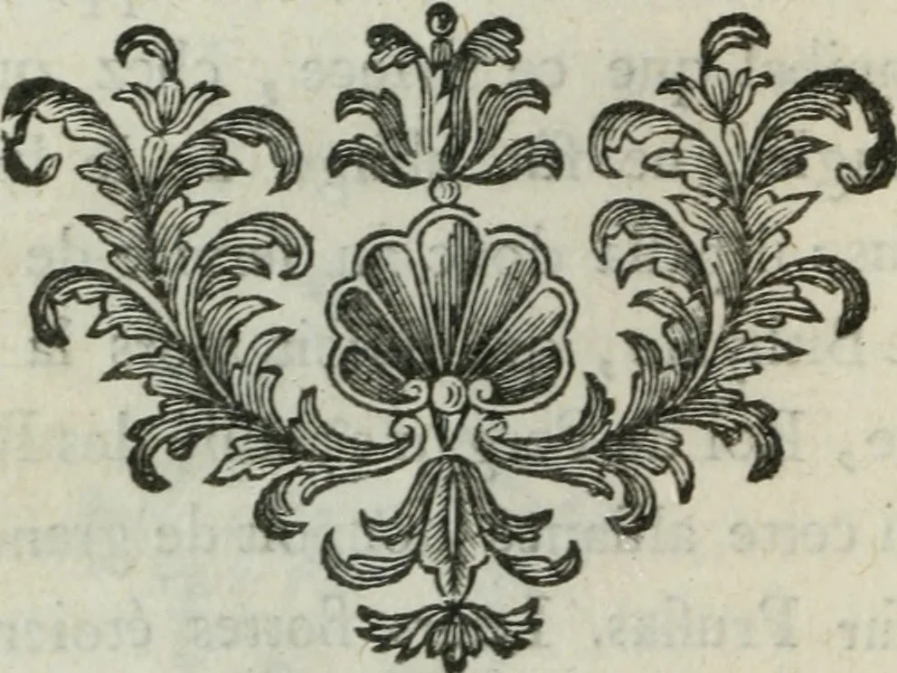 An illustration from Histoire du commerce et de la navigation des anciens, 1763, leaf 183