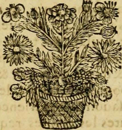 An illustration from Histoire du Concile de Trente, 1655, leaf 303