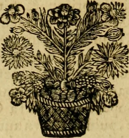 An illustration from Histoire du Concile de Trente, 1655, leaf 367