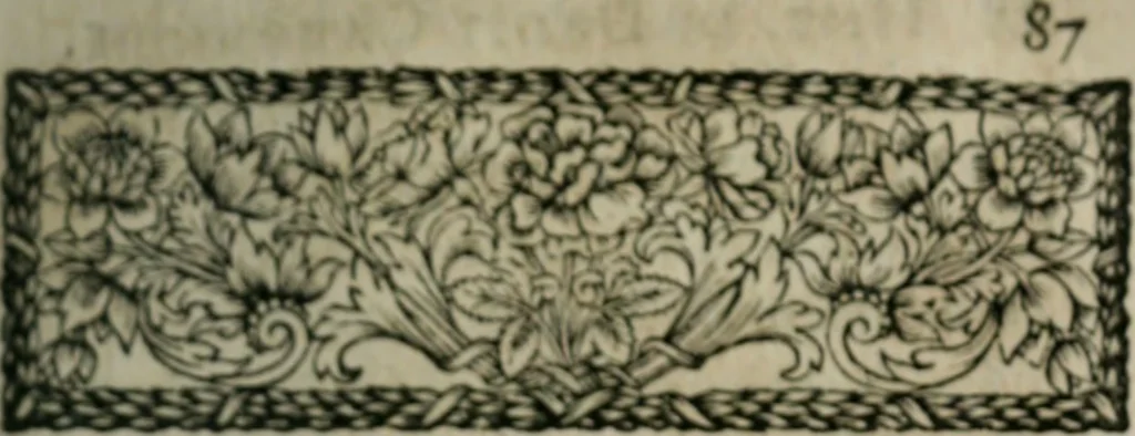 An illustration from Histoire du droit canonique--, 1677, leaf 110
