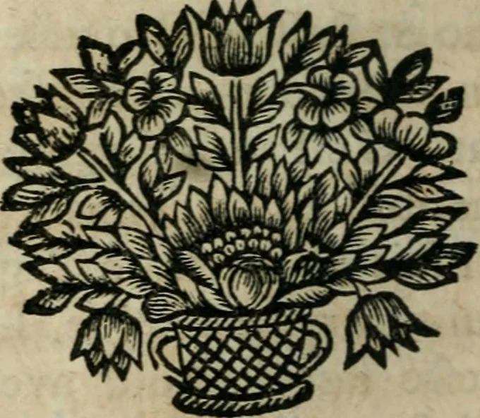 An illustration from Histoire du droit canonique--, 1677, leaf 239