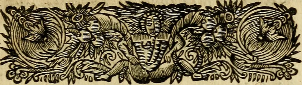 An illustration from Histoire du fanatisme de nostre temps. : et le dessein que l'on avoit de soulever en France les mécontens des Calvinistes., 1692, leaf 206