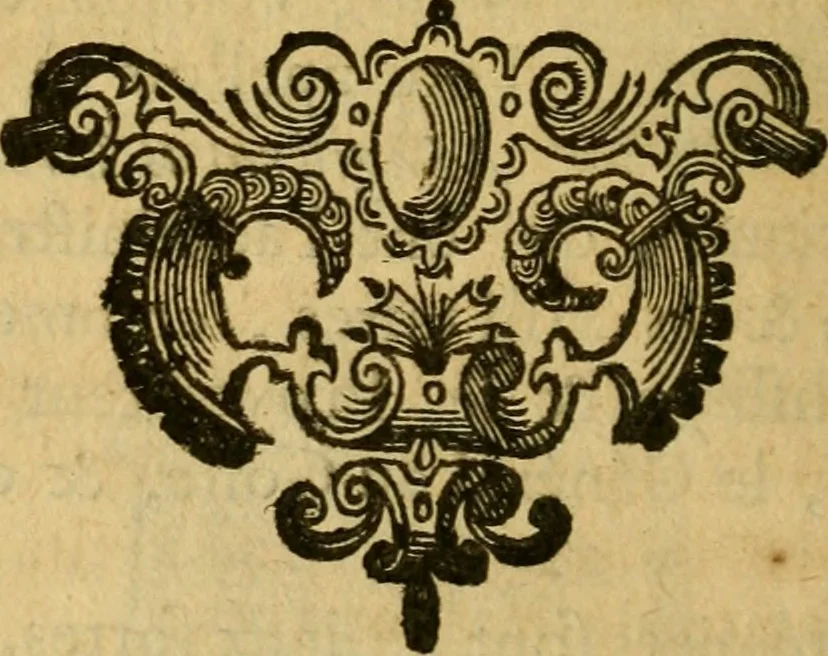 An illustration from Histoire du gouvernement de Venise, 1676, leaf 169