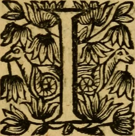 An illustration from Histoire du gouvernement de Venise, 1676, leaf 217