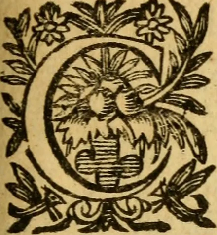 An illustration from Histoire du gouvernement de Venise, 1676, leaf 228