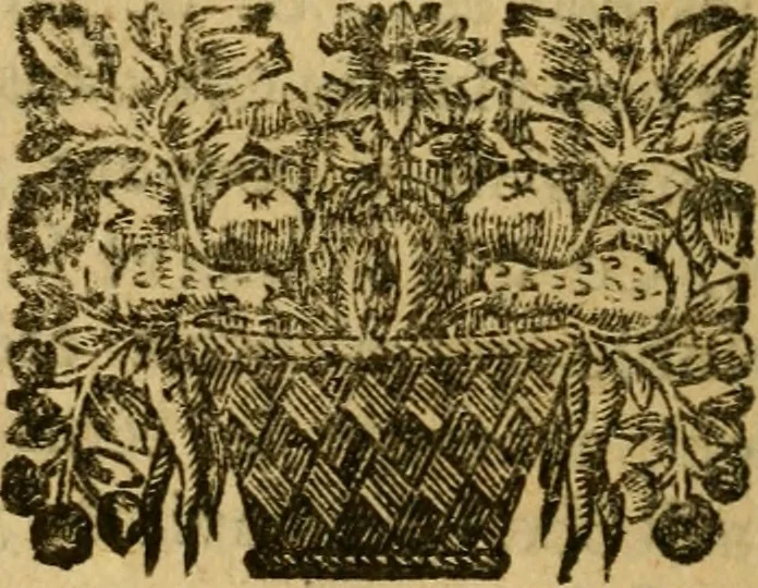 An illustration from Histoire du gouvernement de Venise, 1676, leaf 249