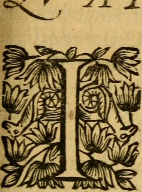 An illustration from Histoire du gouvernement de Venise, 1676, leaf 250
