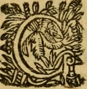 An illustration from Histoire du gouvernement de Venise, 1676, leaf 253