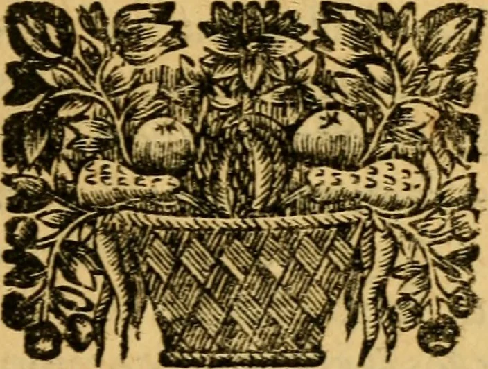 An illustration from Histoire du gouvernement de Venise, 1676, leaf 298