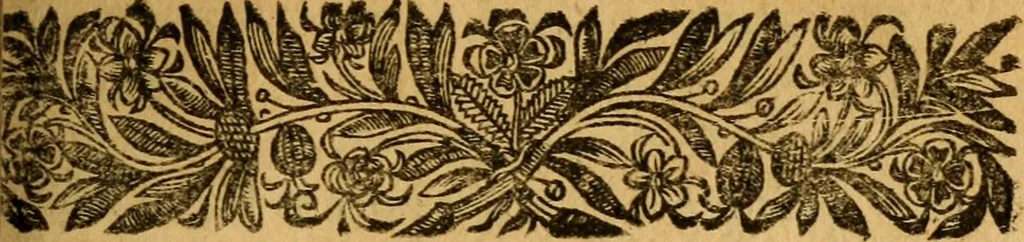 An illustration from Histoire du gouvernement de Venise, 1676, leaf 314