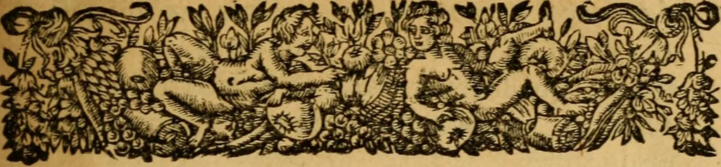 An illustration from Histoire du gouvernement de Venise, 1676, leaf 36