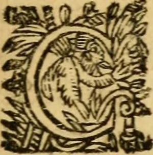An illustration from Histoire du gouvernement de Venise, 1676, leaf 366