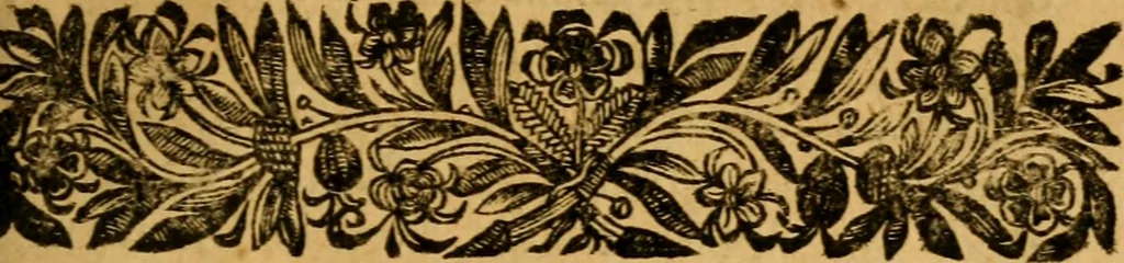 An illustration from Histoire du gouvernement de Venise, 1676, leaf 396