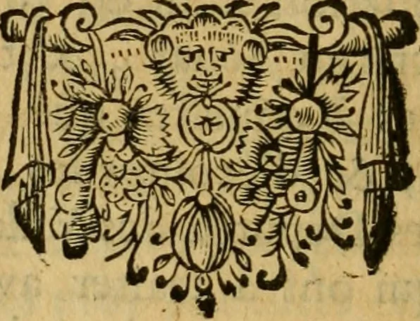 An illustration from Histoire du gouvernement de Venise, 1676, leaf 43