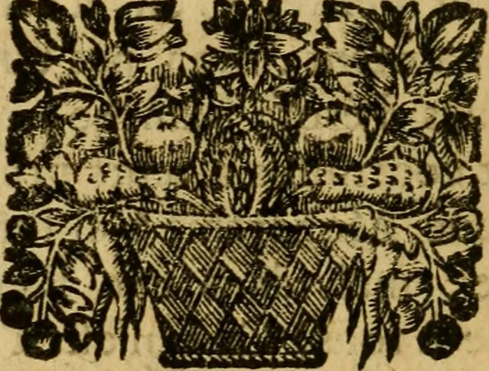 An illustration from Histoire du gouvernement de Venise, 1676, leaf 57