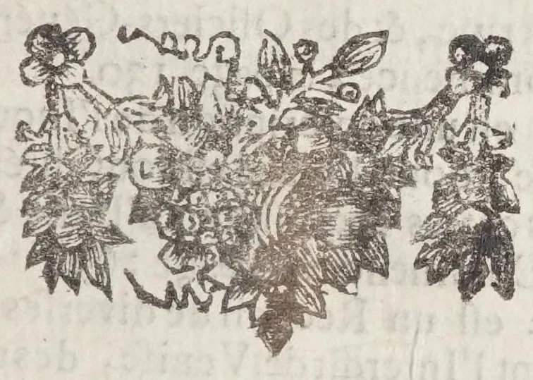 An illustration from Histoire du gouvernement de Venise, 1695, leaf 31