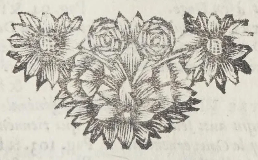 An illustration from Histoire du gouvernement de Venise, 1695, leaf 851