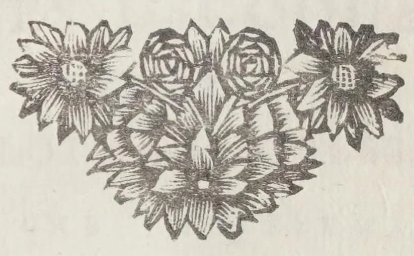 An illustration from Histoire du gouvernement de Venise, 1695, leaf 885