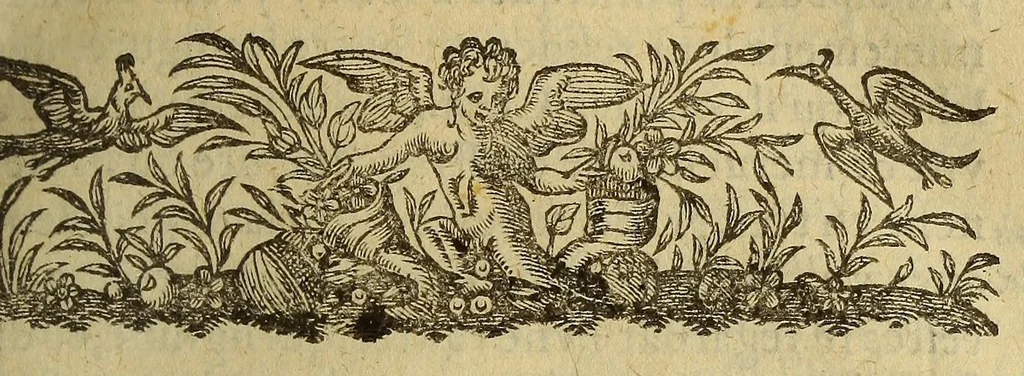 An illustration from Histoire du grand royaume de la Chine, situé aux Indes Orientales, : diuisée en deux parties. contenant en la premiere, la situation, antiquité, fertilité ... & autres choses memorables dudit royaume. et en la seconde, trois voyages faits vers iceluy en l'an 1577. 1579 & 1581. auec les singularitez plus remarquables y veües & entenduës: ensemble vn itineraire du Nouueau Monde, & le descouurement du Nouueau Mexique en l'an 1583., 1589, leaf 67