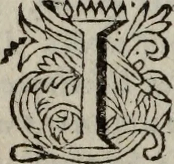 An illustration from Histoire du lutheranisme, 1681, leaf 319