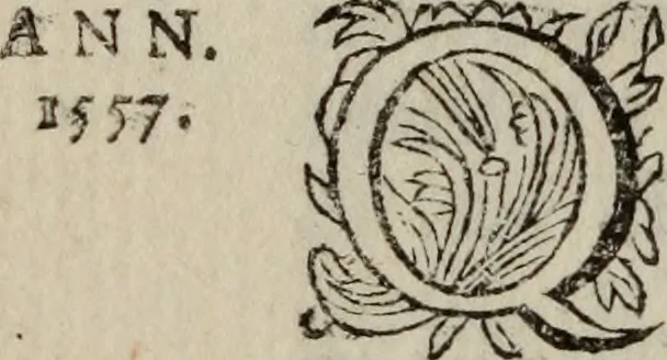 An illustration from Histoire du lutheranisme, 1681, leaf 481