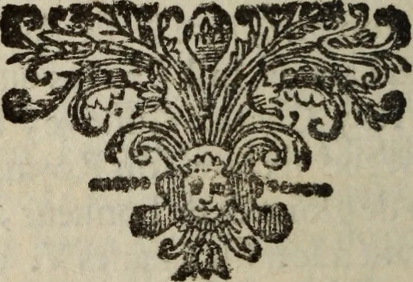 An illustration from Histoire du lutheranisme, 1681, leaf 583