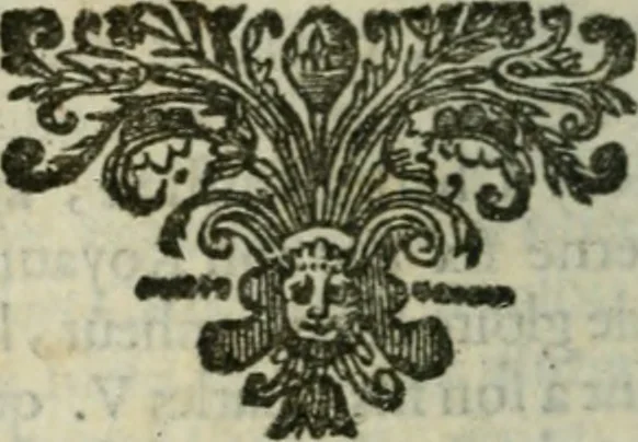 An illustration from Histoire du Lutheranisme, 1681, leaf 575