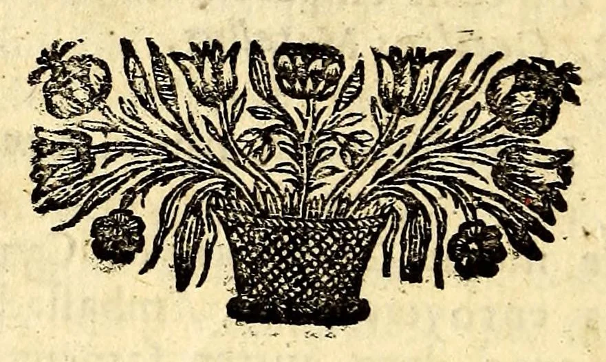 An illustration from Histoire du monde,, 1689, leaf 364