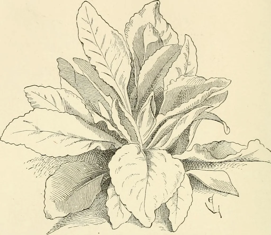 An illustration from Histoire d'un dessinateur, comment on apprend à dessiner;, 1879, leaf 109
