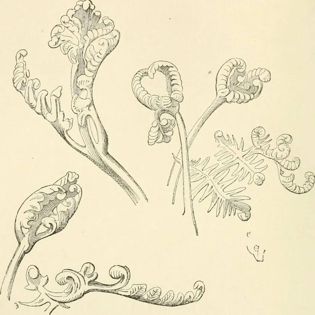 An illustration from Histoire d'un dessinateur, comment on apprend à dessiner;, 1879, leaf 111
