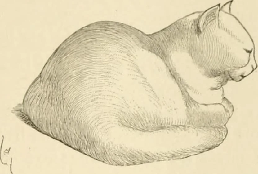 An illustration from Histoire d'un dessinateur, comment on apprend à dessiner;, 1879, leaf 112