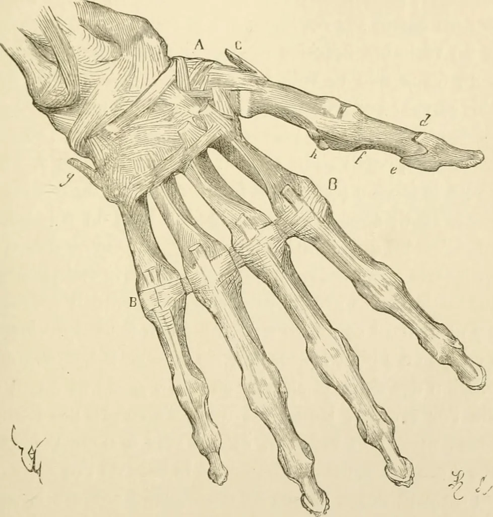 An illustration from Histoire d'un dessinateur, comment on apprend à dessiner;, 1879, leaf 126