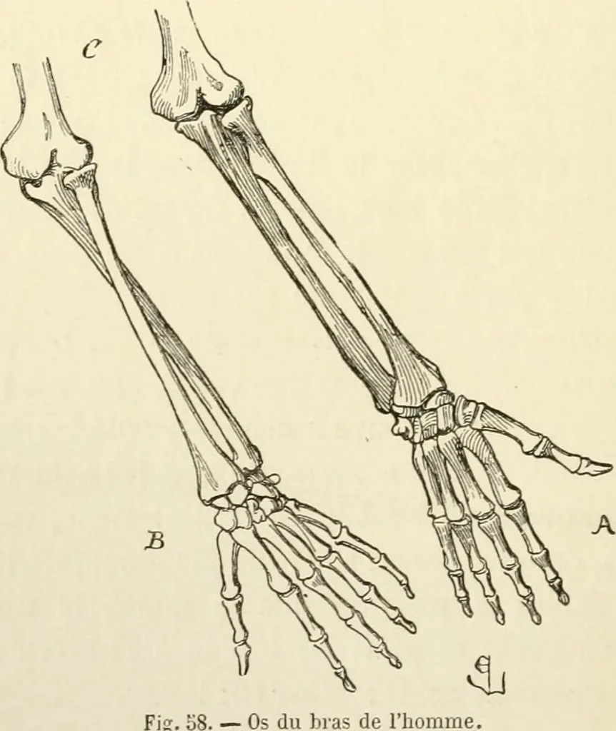 An illustration from Histoire d'un dessinateur, comment on apprend à dessiner;, 1879, leaf 139