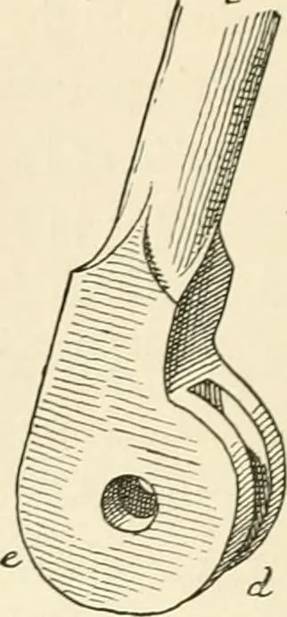 An illustration from Histoire d'un dessinateur, comment on apprend à dessiner;, 1879, leaf 141
